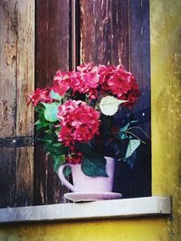 Close-up of rose in vase