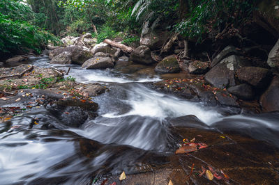 Scenic view of waterfall in forest