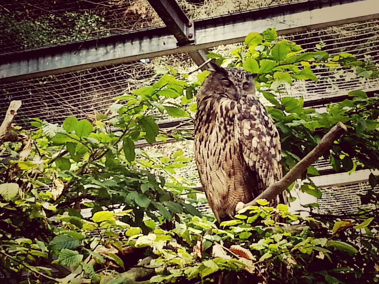 Bayerwald-Tierpark