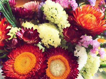 Full frame shot of colorful flowers