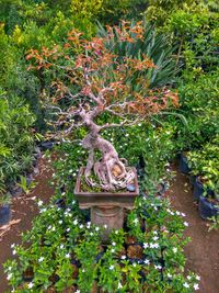 Sculpture against trees and plants