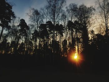 Silhouette trees in forest against sky during sunset