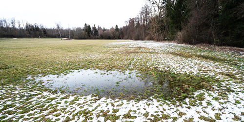 Scenic view of snowy field during winter