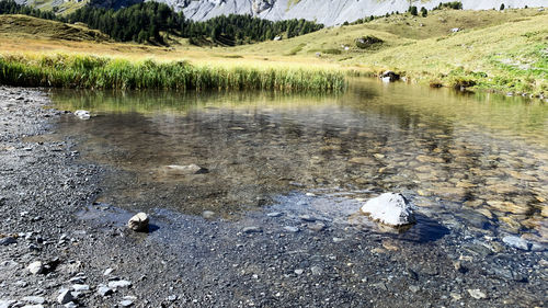 Scenic view of lake