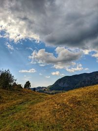 Scenic view of field against sky