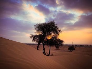 Scenic view of desert against sky during sunset