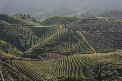 Scenic view of rural landscape