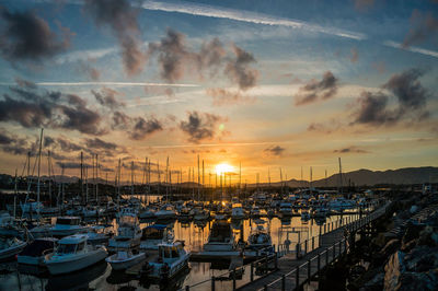 Sailboats moored at harbor during sunset