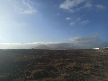 Scenic view of field against sky