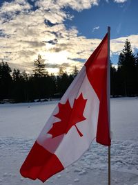 Close-up of flag on maple against sky