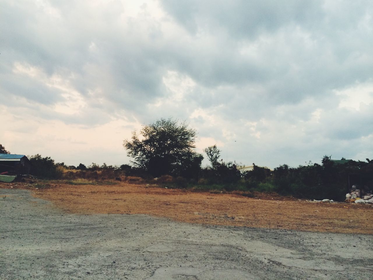 tree, sky, cloud - sky, landscape, cloudy, tranquility, tranquil scene, transportation, cloud, field, road, nature, scenics, land vehicle, growth, beauty in nature, rural scene, outdoors, silhouette, non-urban scene