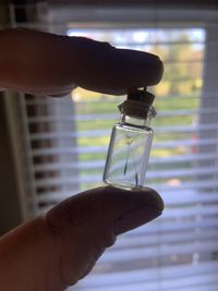 Close-up of hand holding glass window