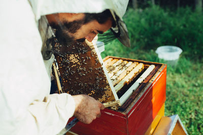 Side view of beekeeper examining beehive on land