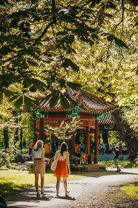 Rear view of friends walking by trees in park