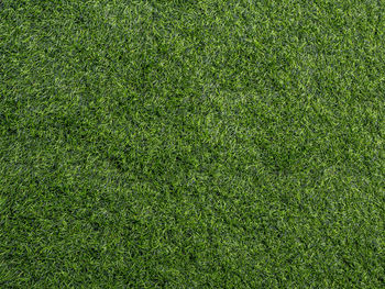 Texture of plastic artificial grass of school yard