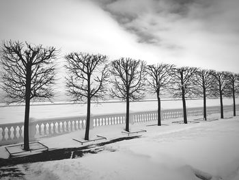 Bare trees on snow covered field against sky