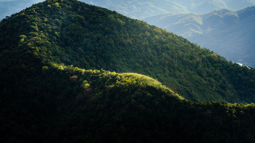 Scenic view of landscape