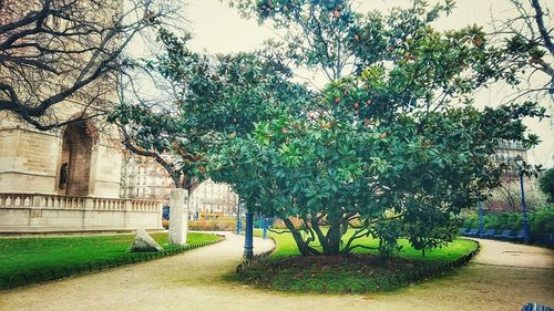 Footpath in park