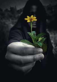 Midsection of person holding flowering plant