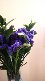 Close-up of purple flowers