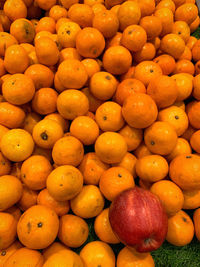 Full frame shot of oranges at market stall