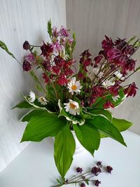 Close-up of white flowering plant in vase