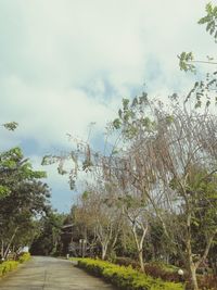 Trees by plants against sky