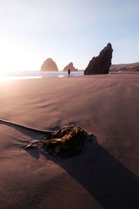 Scenic view of beach against clear sky