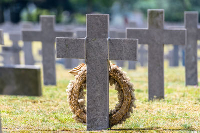 A lot of small, concrete crosses at the german war cemetery in the netherlands.