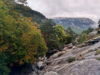 Scenic view of mountains and trees against foggy sky