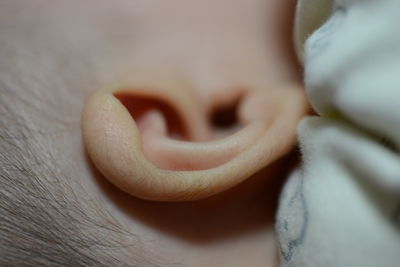 Close-up of baby boy ear