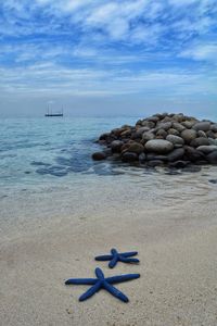 High angle view of blue starfish at beach against sky