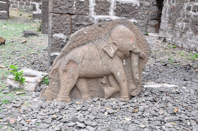 View of an animal face on rock