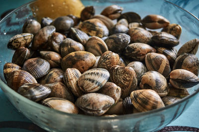 Close-up of shells in container