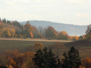 Scenic view of field against sky during autumn