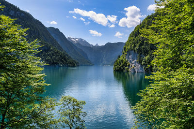 Scenic view of lake by trees against sky