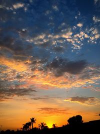 Low angle view of silhouette trees against sky during sunset