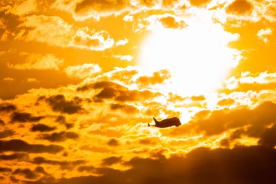 Low angle view of silhouette birds against orange sky