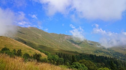 Scenic view of landscape against sky