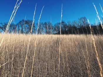 Close-up low angle view of sky