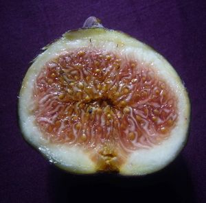 Close-up of fruit slices