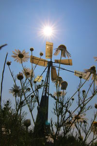 Low angle view of plant against sky