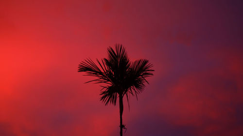 Low angle view of silhouette palm tree against romantic sky