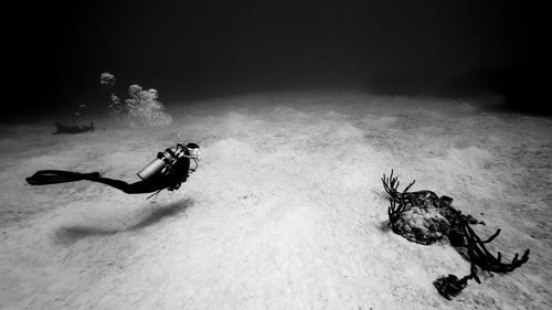 Scuba diver swimming undersea