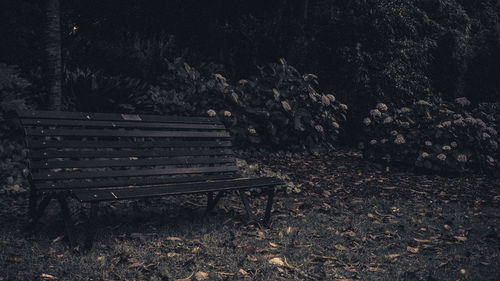 Empty bench on field in forest