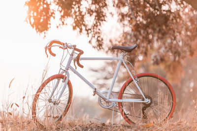Bicycle parked on field