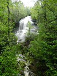 Scenic view of waterfall in forest