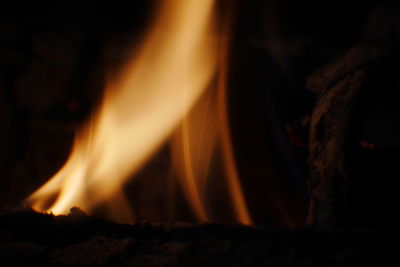 Close-up of bonfire at night