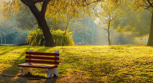 Empty bench in park during autumn