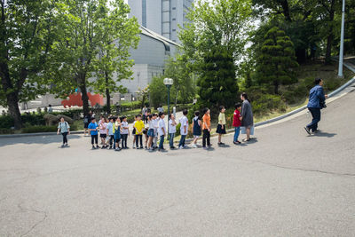 People walking on road along trees